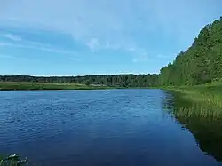 Река Важинка (ур. Граждановка)