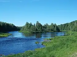 Река Важинка в д. Согиницы