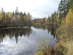 Река Ваймуга