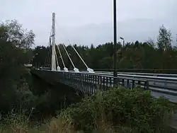 Вантовый мост через Малую Сестру