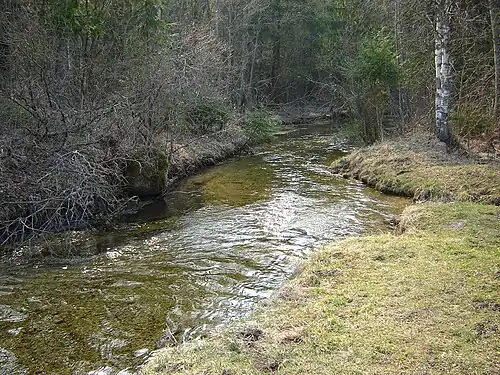 Река Парица вблизи истоков