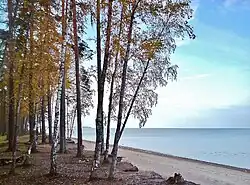 Вид из заказника на Финский залив