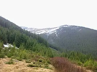 Вид на гору Ушастый камень