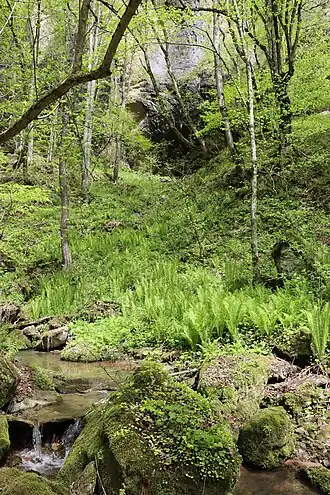 Вид на навес Псытуаже от реки Фандуко