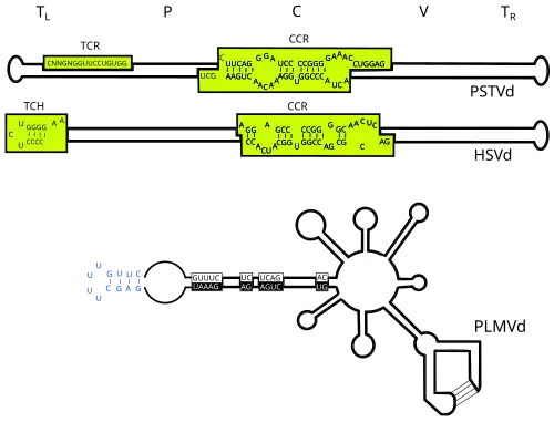 Вироиды12 декабря 2016