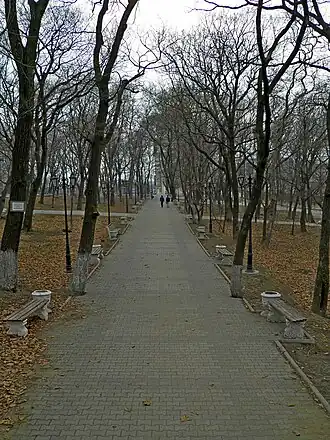 Аллея в Покровском парке