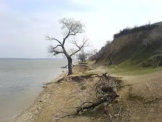 Пляж на озере