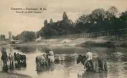 Водопой на реке Салар