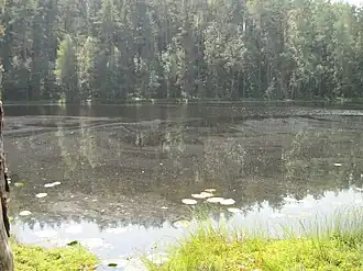 Вид на озеро летом 2012 года