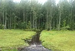 Вид в сторону Онежского озера