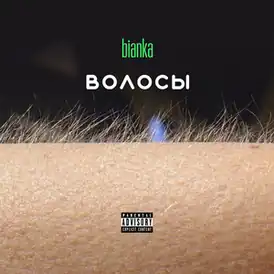 Обложка альбома Бьянки «Волосы» (2019)