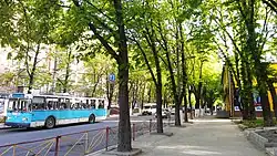 Улица Каменецкая в центре города