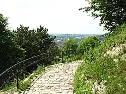 Подъём на курган Люблинской унии