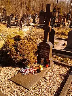 В. А. Малыщицкий.