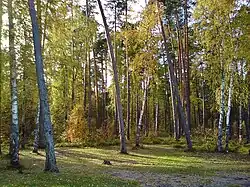 В парке заказника