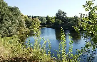 Голенчинский пруд №5