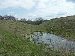 Осадный пруд на территории городища.