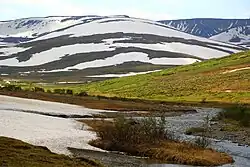 Снежники в июле у берегов Гэнахадаты