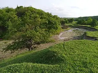 г. Курчалой речка Терлинг