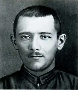 Н. И. Демиденко