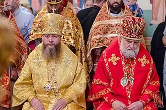 Митрополит Владимир