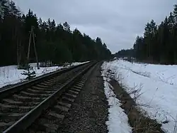 ж/д возле деревни