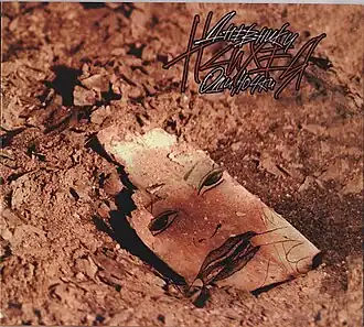 Обложка альбома группы Психея «Дневники Одиночки» (2009)