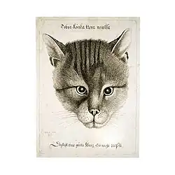 Вацлав Холлар. Портрет кота. № 2109