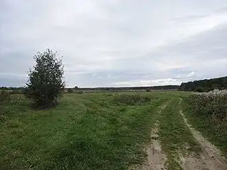 Часть Молого-Шекснинской низменности в районе деревни Слуды (Вологодская область)