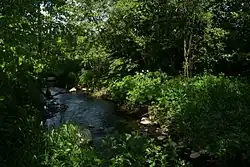 Вид на реку весной 2016 года