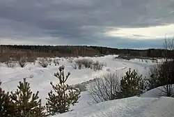 Долина реки Ликина близ посёлка Ликино