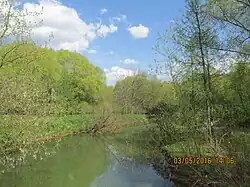 Долина реки Химки IMG 7487