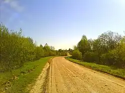 Дорога Крутец-Андрюшино