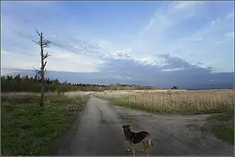 Вид от Тарховского лесопарка