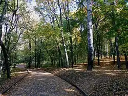 Дорожка в парке