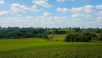 Друцкое городище