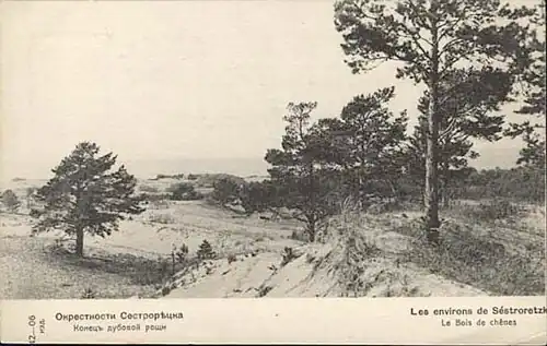 Конец дубовой рощи