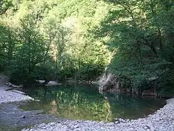 Верхнее течение Пшады в мае 2007 года