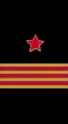 нарукавный знак ВМФ