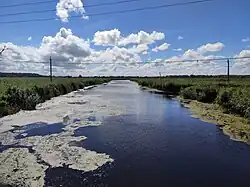 Низовье Тростянки около Зеленоградска. Вид вверх по течению с моста дороги А217.