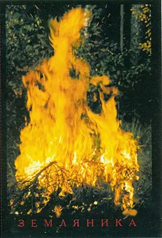 Обложка альбома Александра Непомнящего «» ()