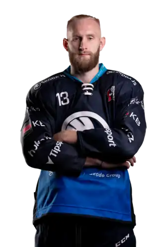 Игорь Мережко. ХК Плзень (Чехия)