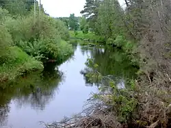 Нижнее течение Ирдома около села Боговарово