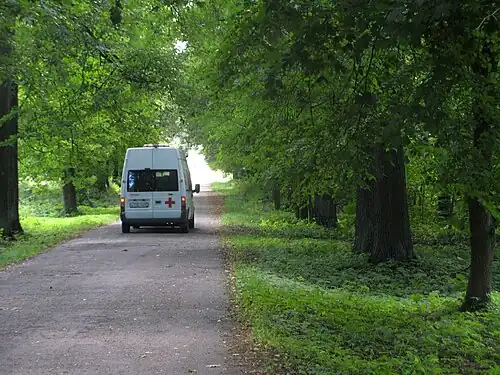 Аллея в усадьбе