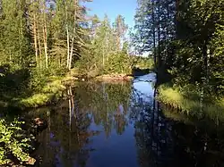 Вид против течения