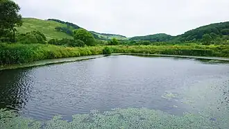 Озеро с водяным орехом маньчжурским