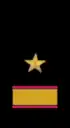 нарукавный знак ВМФ