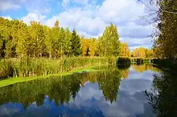 Вид протоки Подувалье на участке дренажного канала