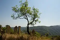 Кладбище уцмиев