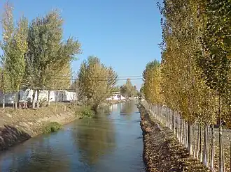 Джун у городища Шаштепа